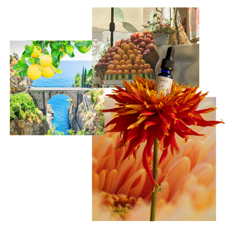 Affluent Atrium - Aceite perfumado