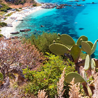 The enchanting region of Calabria: home of our scent Bergamot Blossom