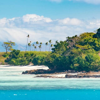 Fiji Figs inspiration