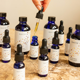 Explorers Bundle - Scent oil