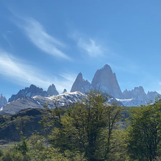 Reisen nach Patagonien mit Aemster