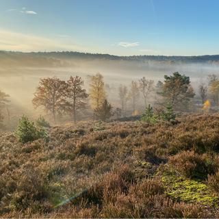 Ein gemütlicher Herbst