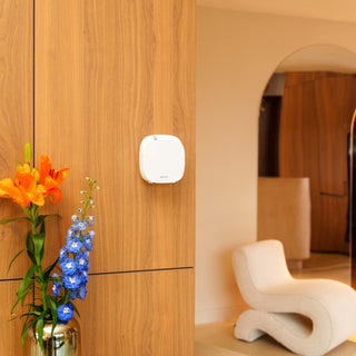 Wally weiß im Zimmer