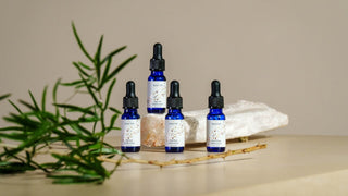 Aceites esenciales y aromáticos amaderados Aemster