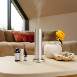 Diffuseur de parfum Haevn Silver