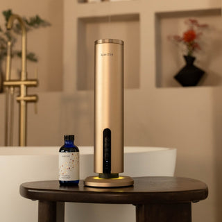 Haevn Charge Gold