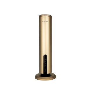 Haevn Charge Gold