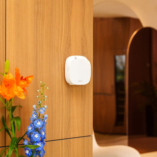 Wally bianco da parete