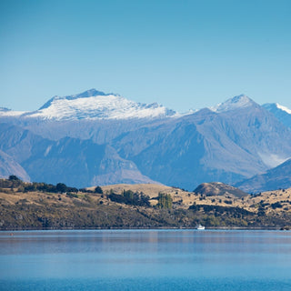 Wanaka Woods Lake Wanaka
